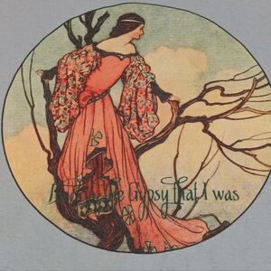 Stevie Nicks Fleetwood Mac Back To The Gypsy That I Was T-shirt 3XL